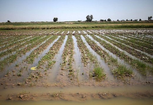 هشدار وقوع سیل و تخریب محصولات کشاورزی به ۱۰ استان کشور
