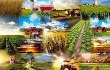 افتتاح و بهره‌برداری از ۲۳۴۷ طرح بخش کشاورزی کشور در هفته جهاد کشاورزی