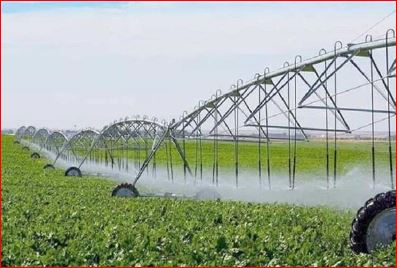 اختصاص آب یارانه‌ای به کشاورزی غیرراهبردی موجب هدررفتن آن می‌شود