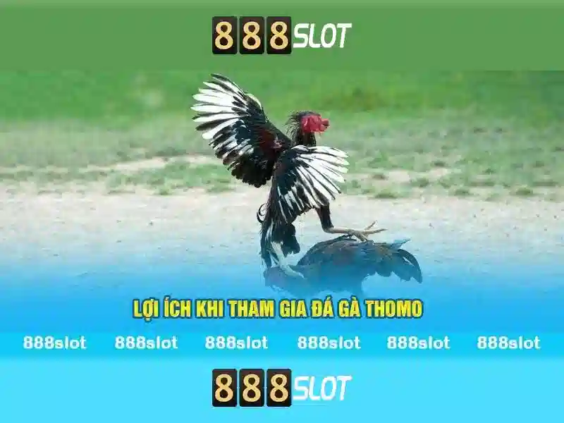 https://sedayebank.com/images/text/888slot/888slot-text2603301537.webp