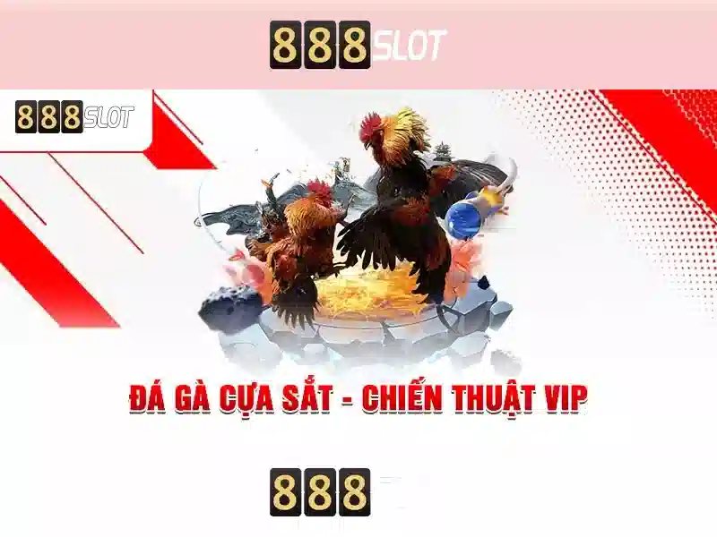 888slot - Nền tảng cá cược trực tuyến nổi bật
