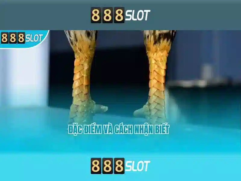 Anh-dang-ky-buoc1 Anh-dang-ky-buoc1