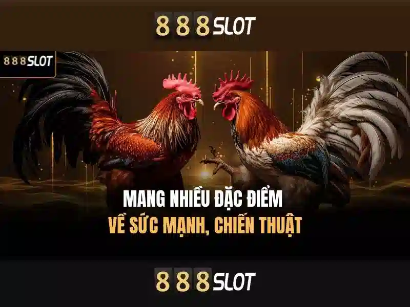Khám phá 888slot - Nền tảng chơi slot trực tuyến