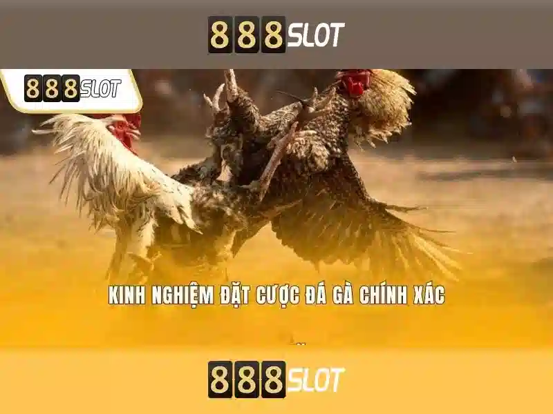 888slot - Nền tảng casino trực tuyến và trò chơi slot hàng đầu