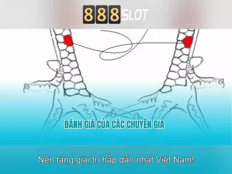 https://sedayebank.com/images/text/888slot/888slot-text2603311019.webp