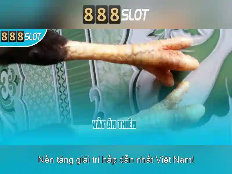 https://sedayebank.com/images/text/888slot/888slot-text2603312230.webp