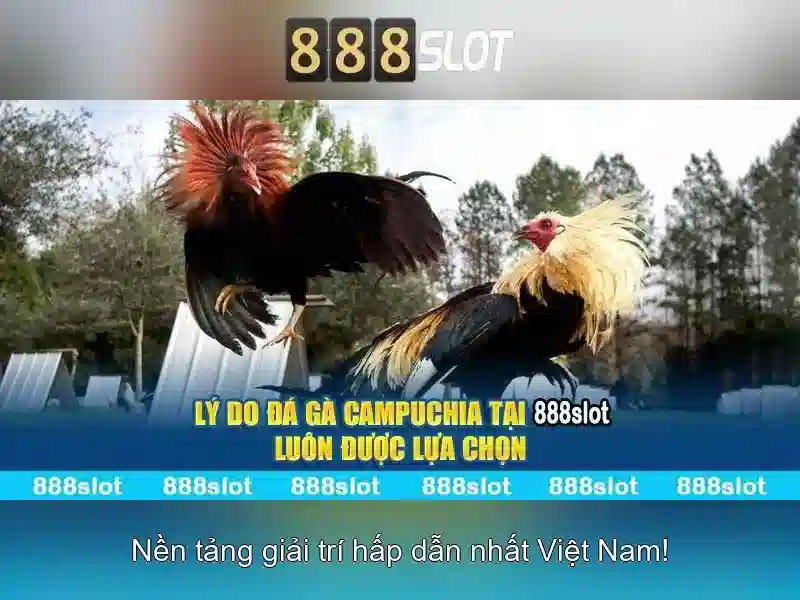 https://sedayebank.com/images/text/888slot/888slot-text26033190.webp
